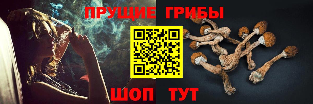 Бийск  Галлюциногенные грибы мухоморы  Галлюциногенные грибы ЛСД  Вход с VPN 